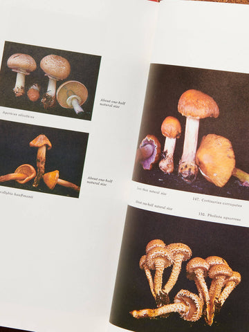 The Mushroom Hunter's Field Guide: Revised & Enlarged