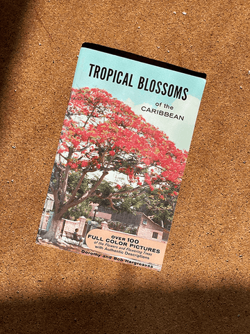 Tropical Blossoms of the Caribbean